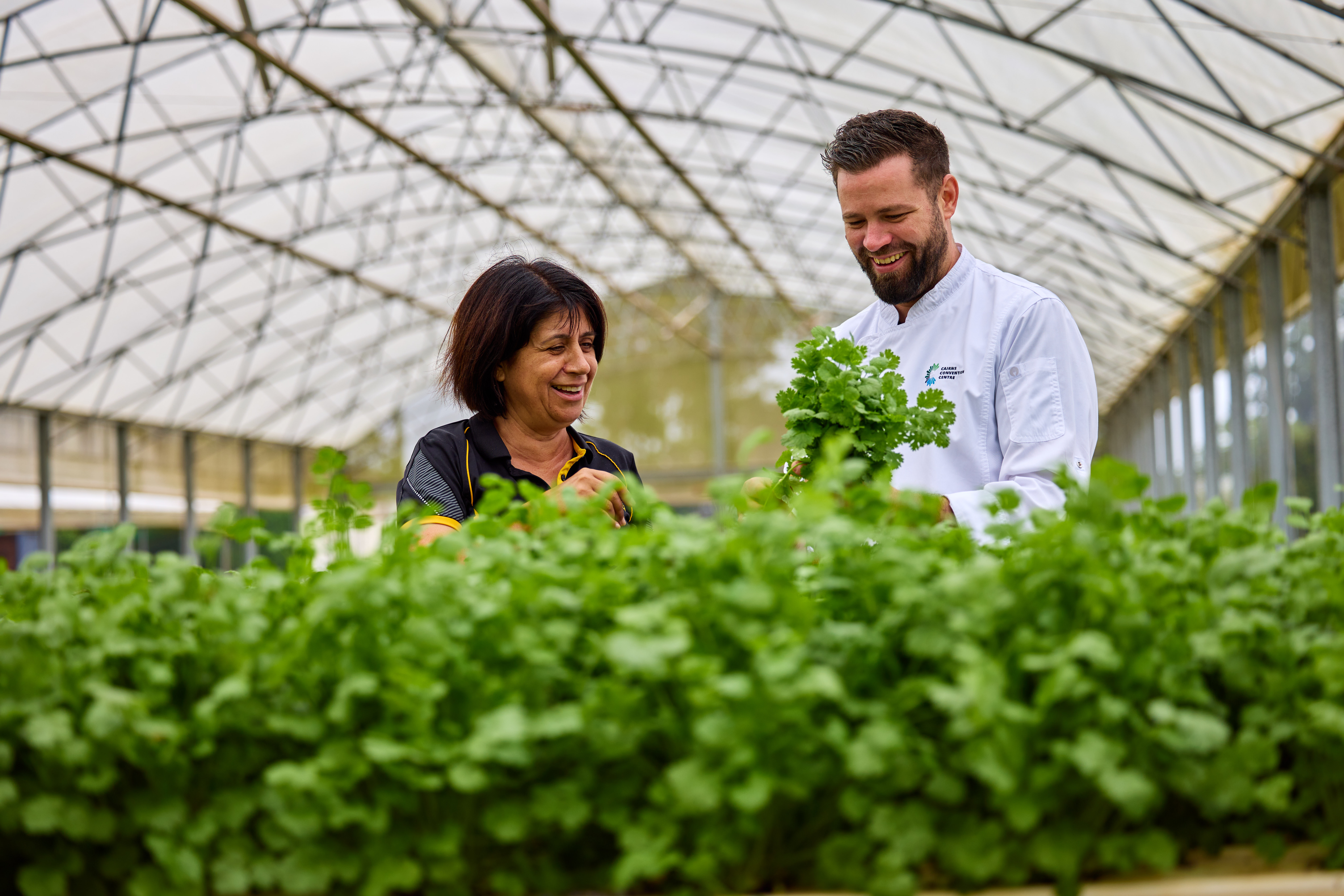 Two individuals standing in a greenhouse filled with green leafy plants. One wears a dark shirt, the other a white lab coat. Their faces are pixelated, and the greenhouse has a metal frame with a transparent covering that lets in natural light.