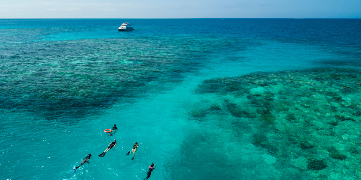 Aerial view of a group of snorkelers swimming in clear turquoise water in the Great Barrier Reef. The snorkelers are wearing fins and masks, and one is holding an orange flotation ring. In the background, a white boat is anchored in deeper blue water. The scene highlights the vibrant colors of the ocean and the activity of snorkeling in the coral reef.