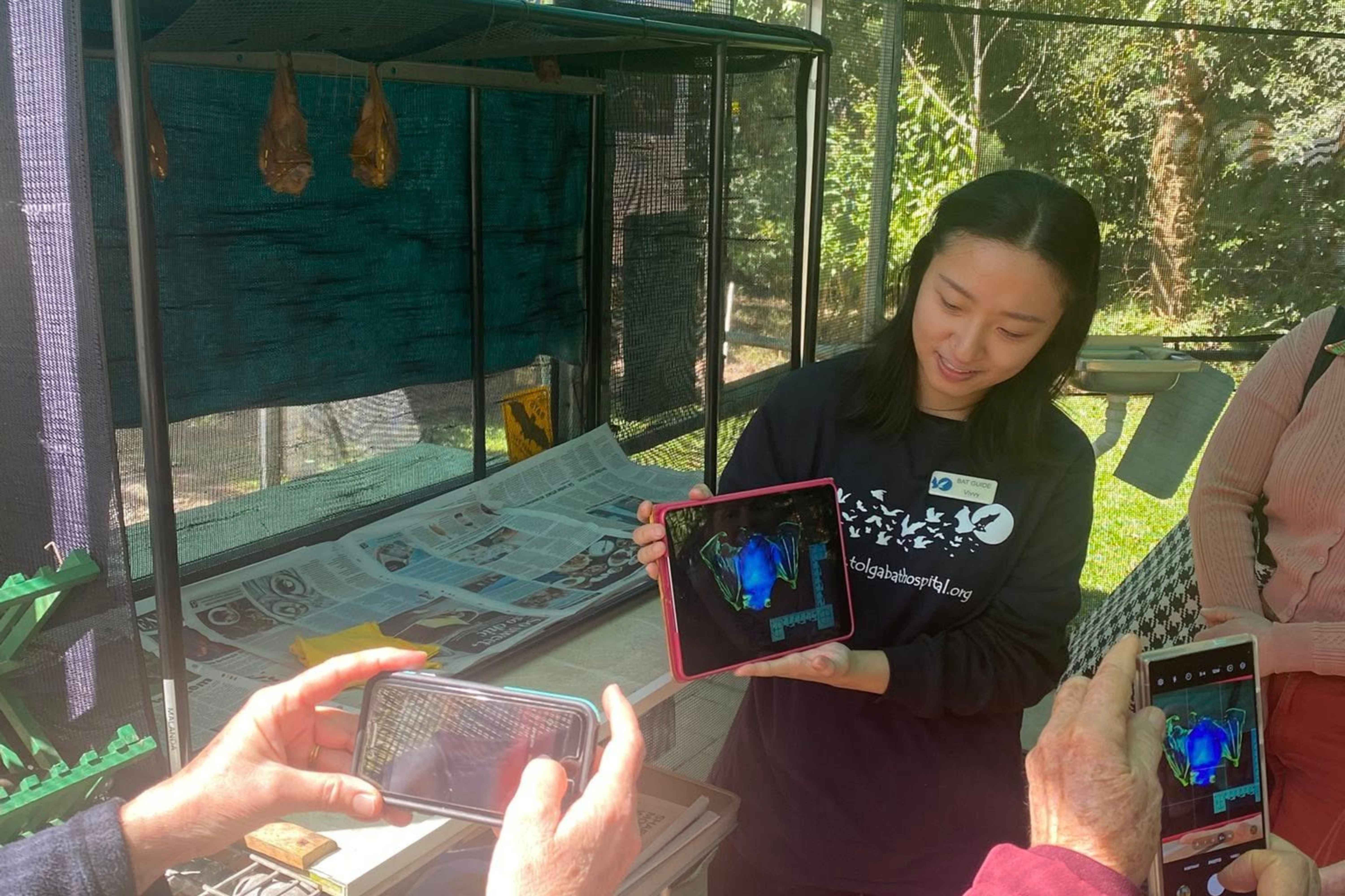 A person holds up a tablet showing a colorful thermal image of a bat while two people take photos of the tablet with their phones.